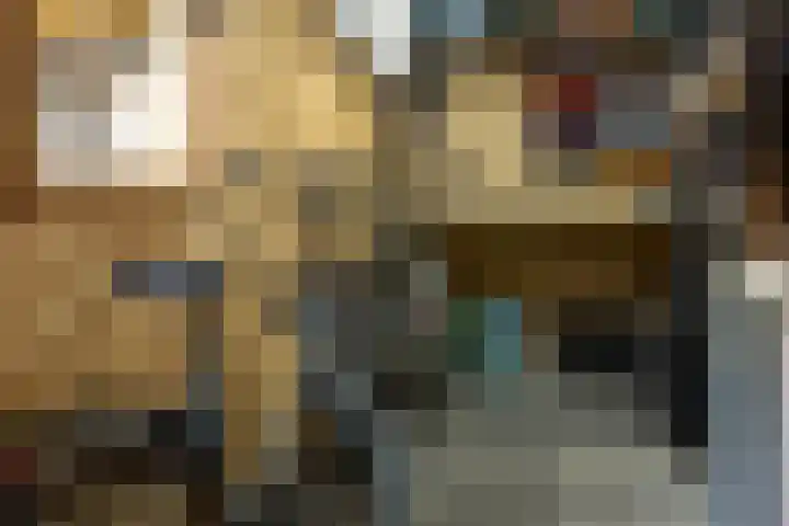 Prinses Christinastraat 46 Nunspeet thumbnail 41