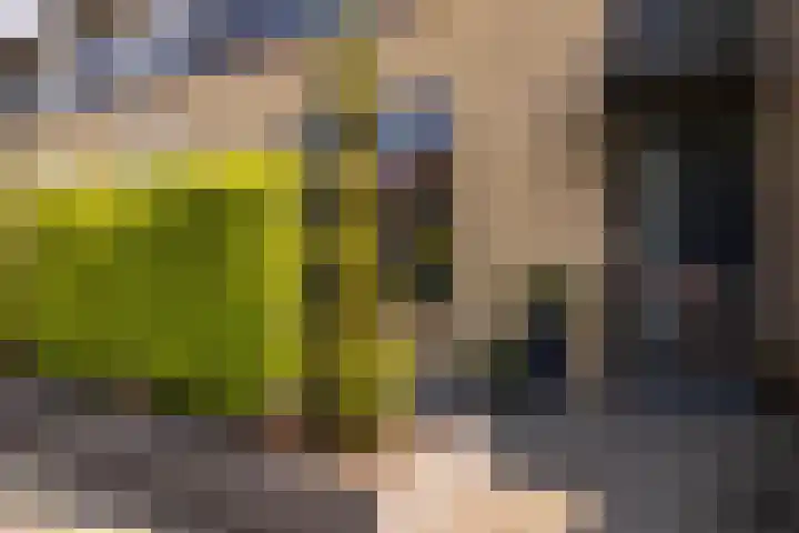 Prinses Christinastraat 46 Nunspeet thumbnail 8