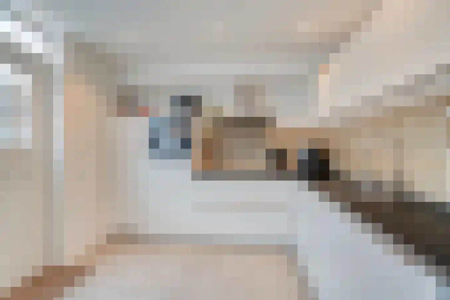 Prinses Christinastraat 48 Nunspeet thumbnail 25
