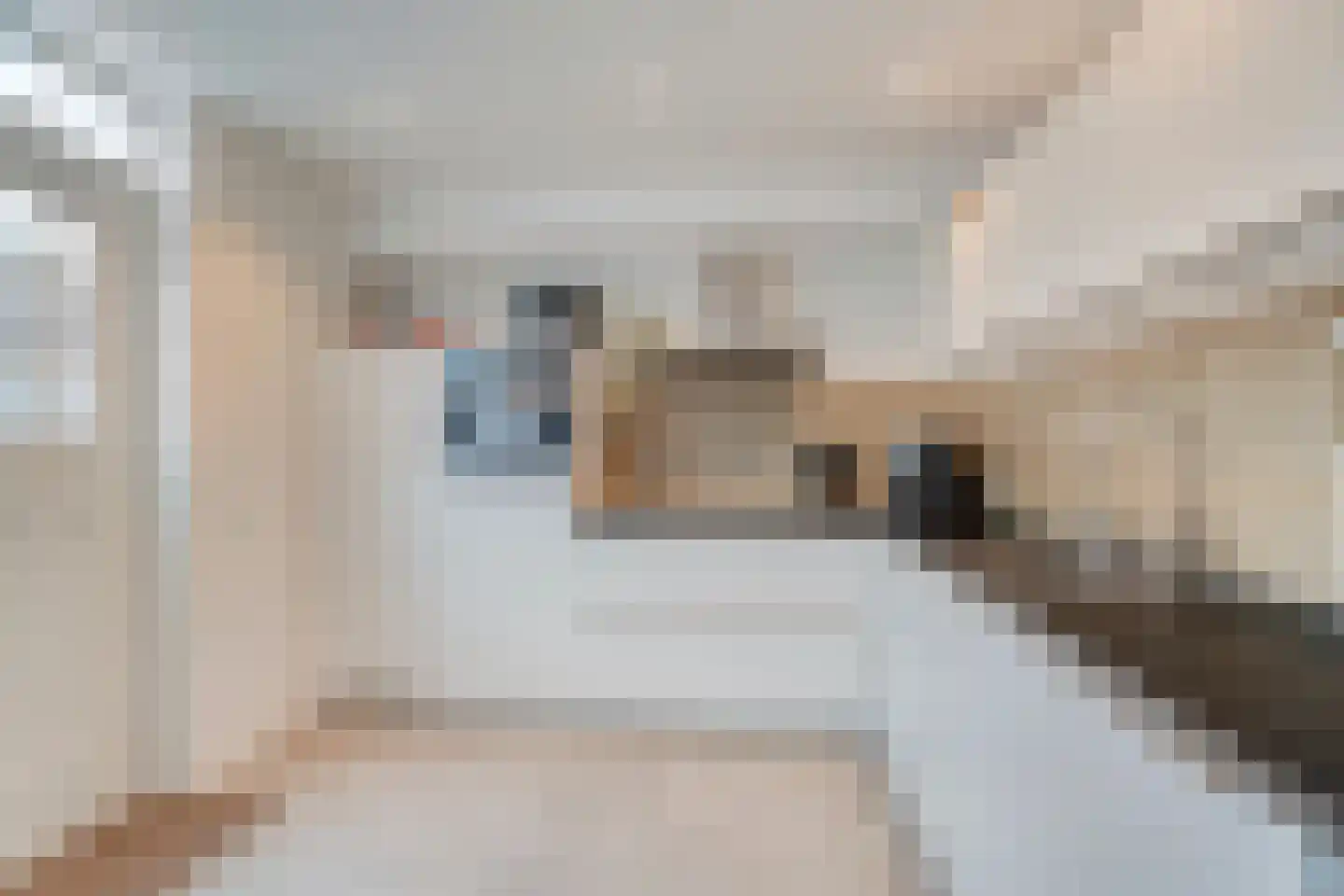 Prinses Christinastraat 48 Nunspeet thumbnail 4