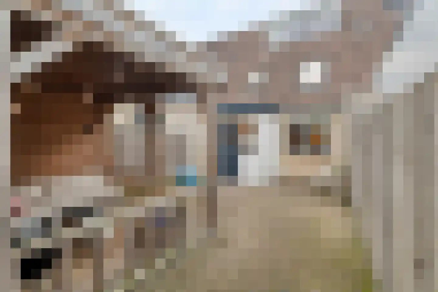 Prinses Christinastraat 48 Nunspeet thumbnail 40
