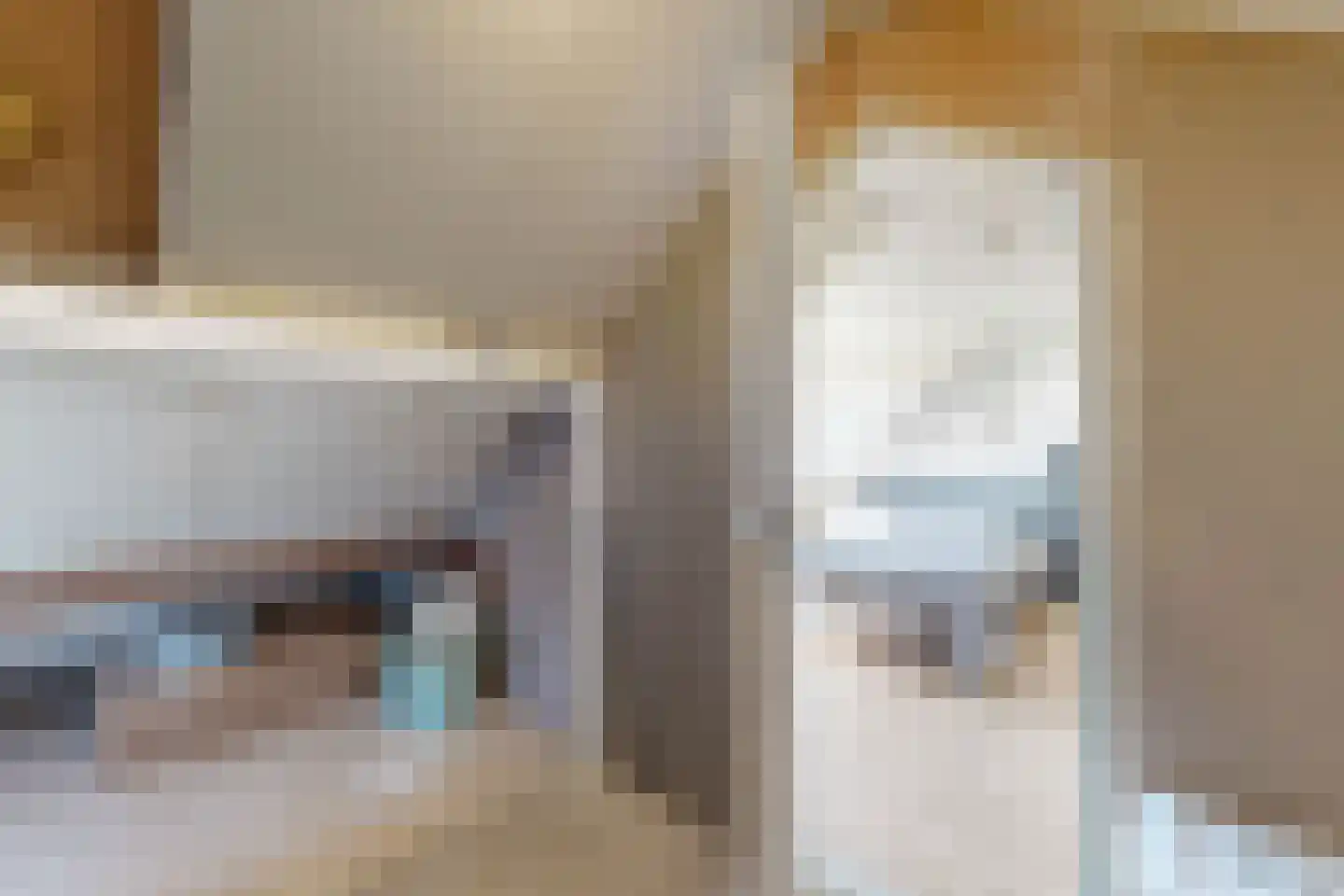 Prinses Christinastraat 64 Fijnaart thumbnail 47