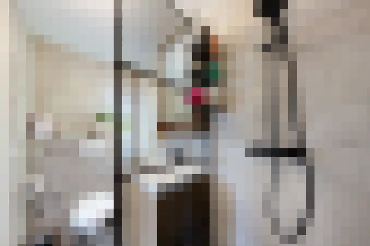 Prinses Christinastraat 64 Fijnaart thumbnail 5