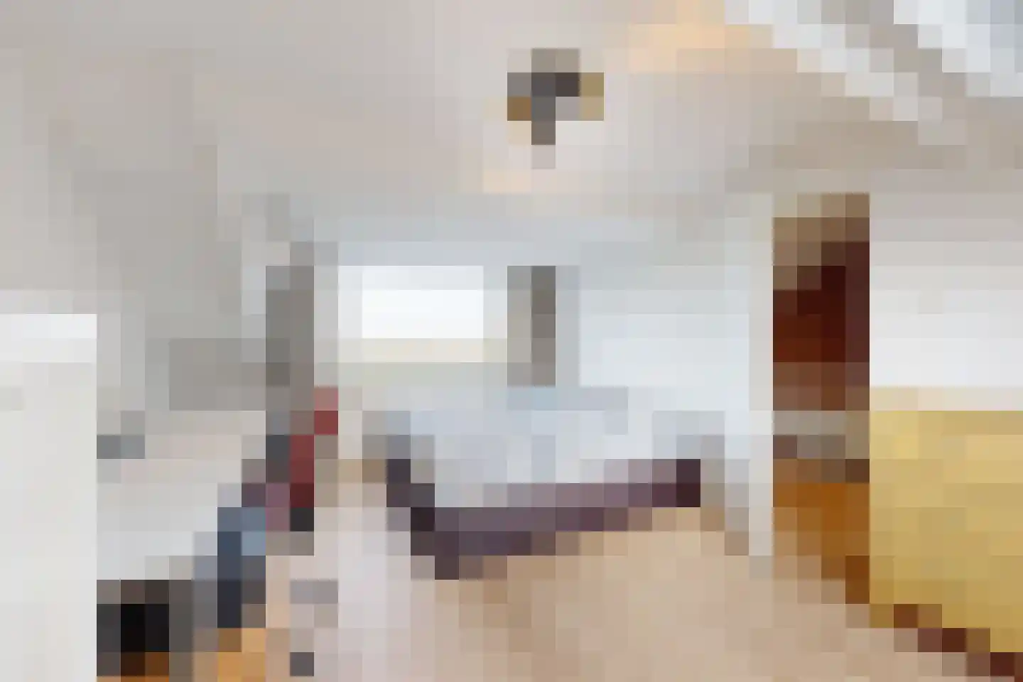 Prinses Christinastraat 69 Willemstad thumbnail 43