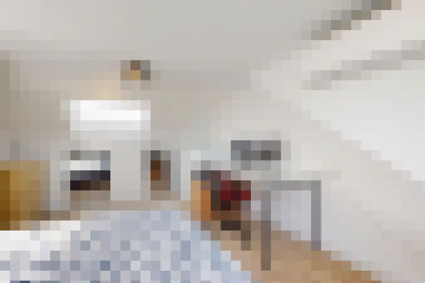 Prinses Christinastraat 69 Willemstad thumbnail 46