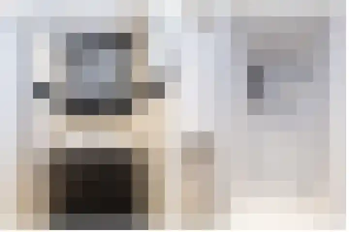 Prinses Irenehof 14 Naarden thumbnail 14