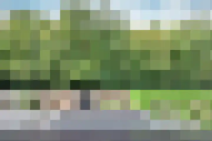 Prinses Irenehof 37 Naarden thumbnail 16