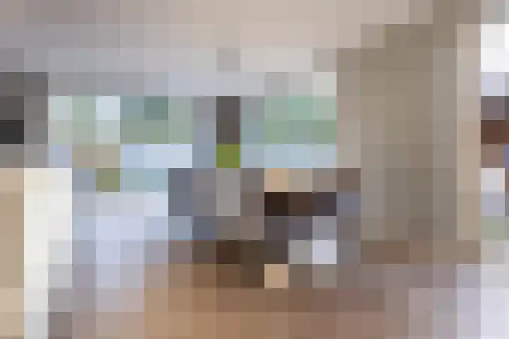 Prinses Irenehof 67 Naarden thumbnail 6