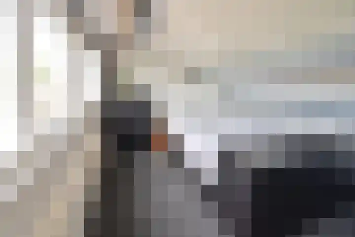 Prinses Irenehof 7 Naarden thumbnail 13