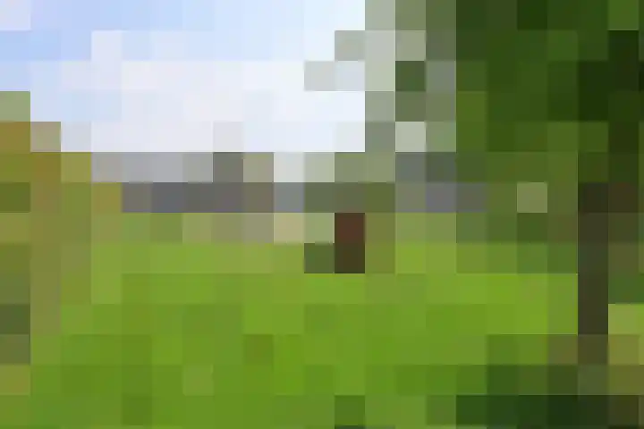 Prinses Irenehof 7 Naarden thumbnail 16
