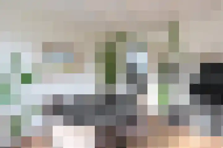 Prinses Irenehof 75 Naarden thumbnail 7