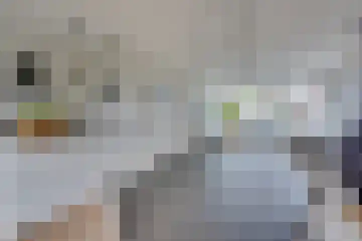 Prinses Irenelaan 1 Leerdam thumbnail 12