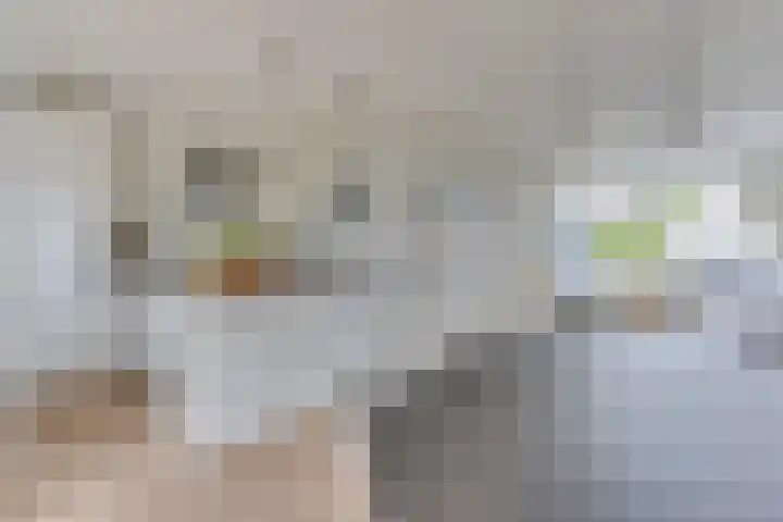 Prinses Irenelaan 1 Leerdam thumbnail 13