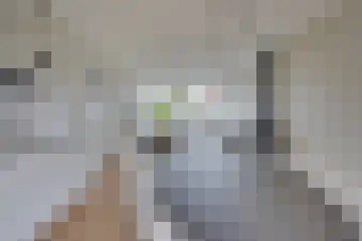 Prinses Irenelaan 1 Leerdam thumbnail 15