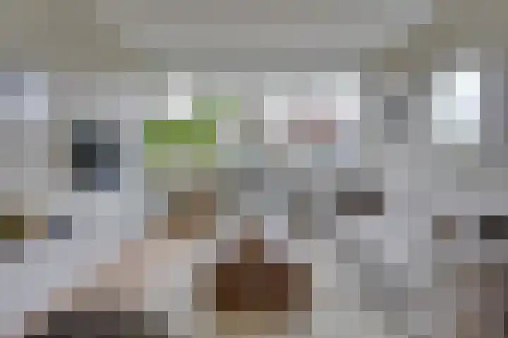 Prinses Irenelaan 1 Leerdam thumbnail 7