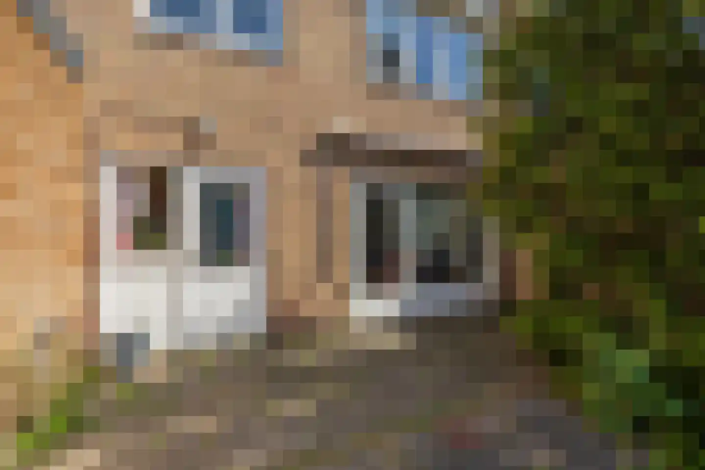 Prinses Irenelaan 10 Oegstgeest thumbnail 17