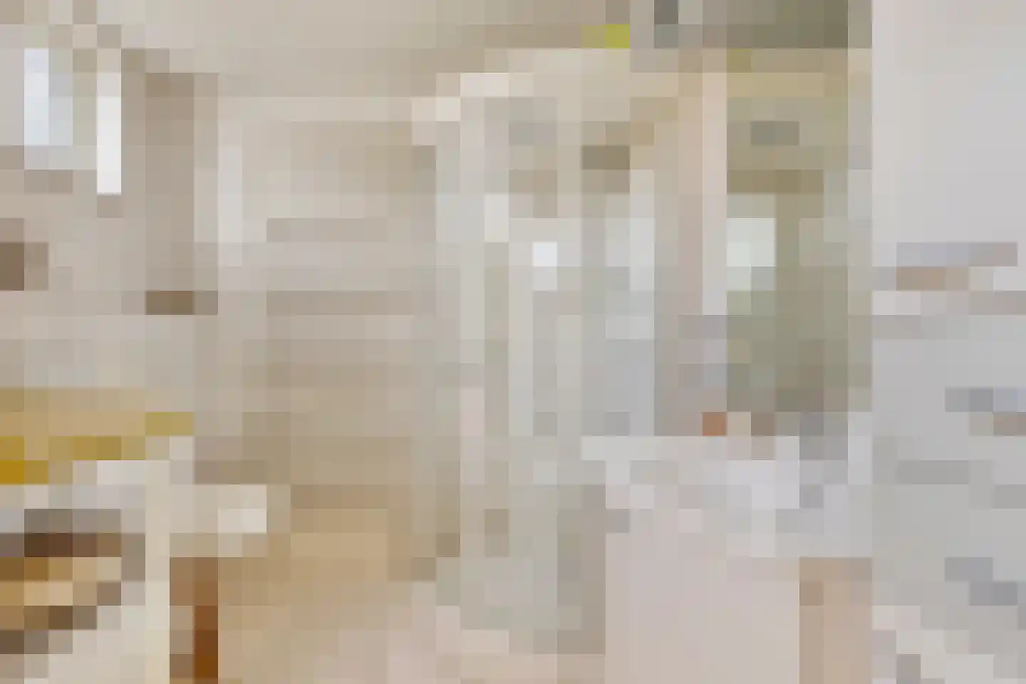 Prinses Irenelaan 10 Putte thumbnail 23