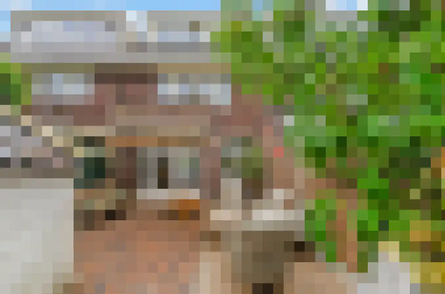 Prinses Irenelaan 101 Utrecht thumbnail 22