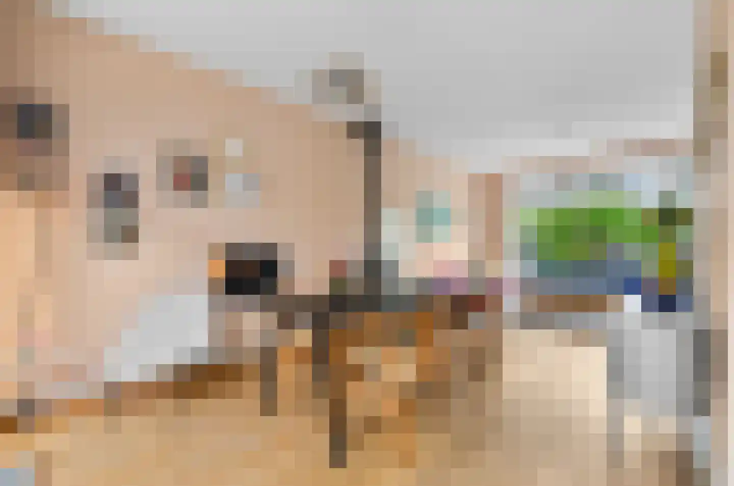 Prinses Irenelaan 101 Utrecht thumbnail 6