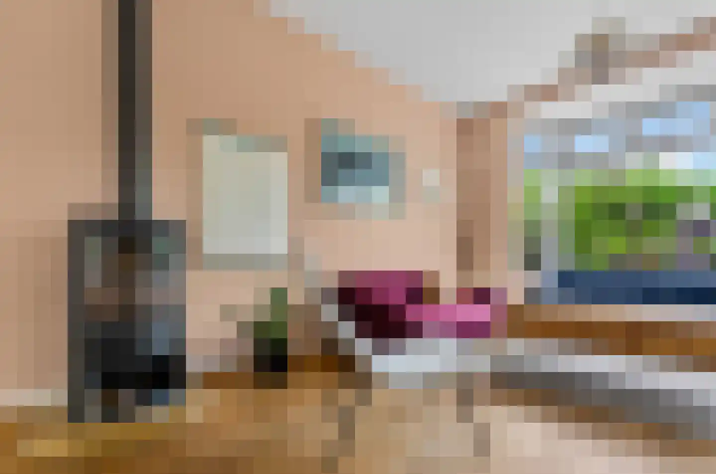 Prinses Irenelaan 101 Utrecht thumbnail 9