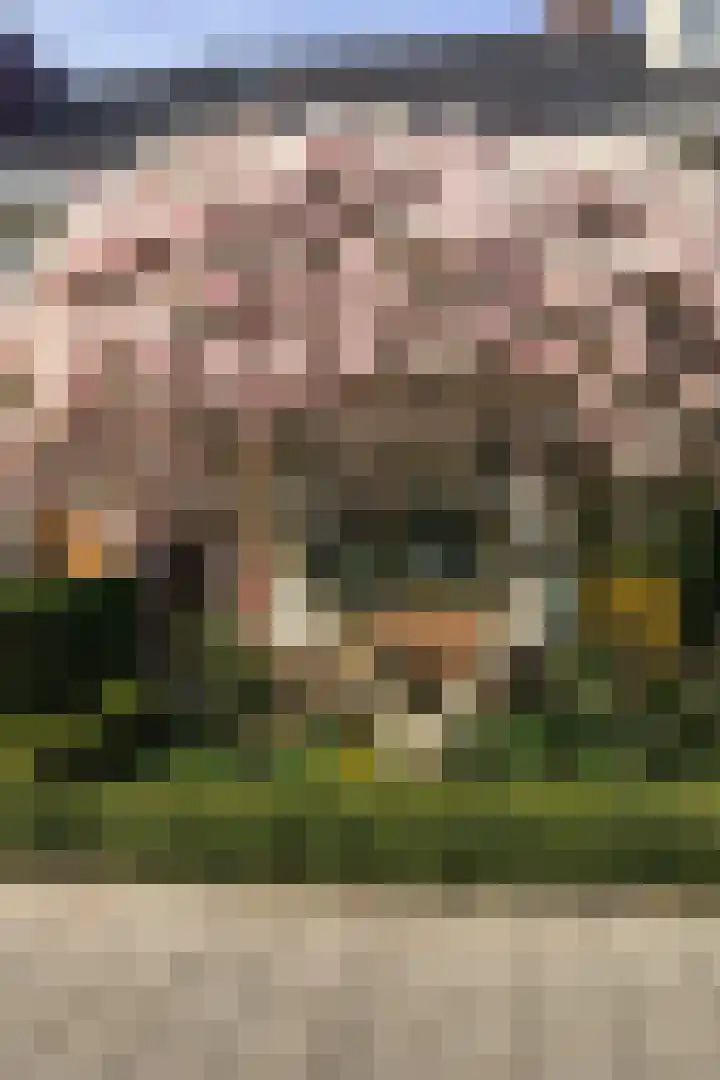 Prinses Irenelaan 109 Utrecht thumbnail 53