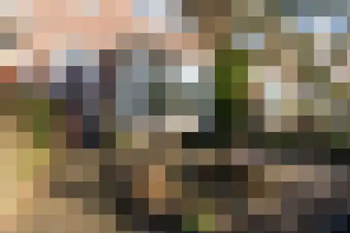 Prinses Irenelaan 109 Utrecht thumbnail 54