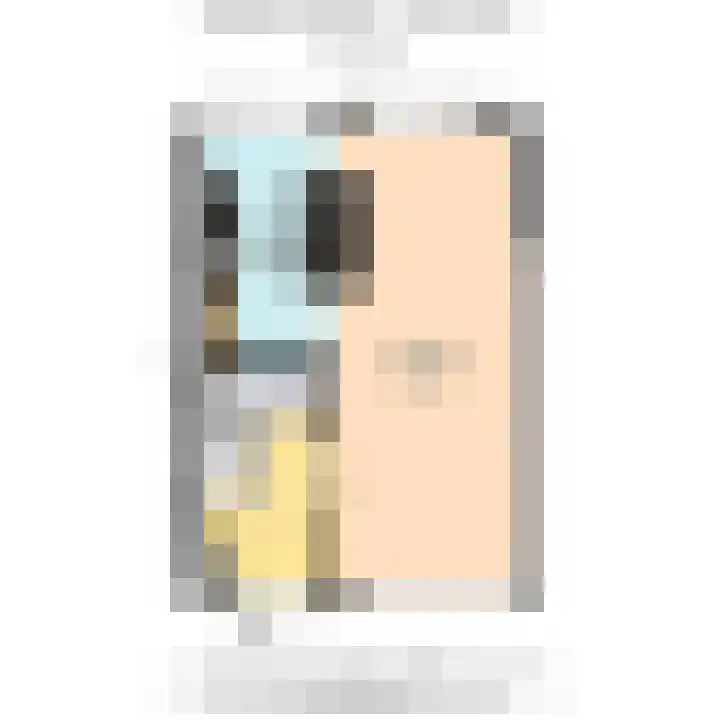 Prinses Irenelaan 11 Den Hoorn thumbnail 57