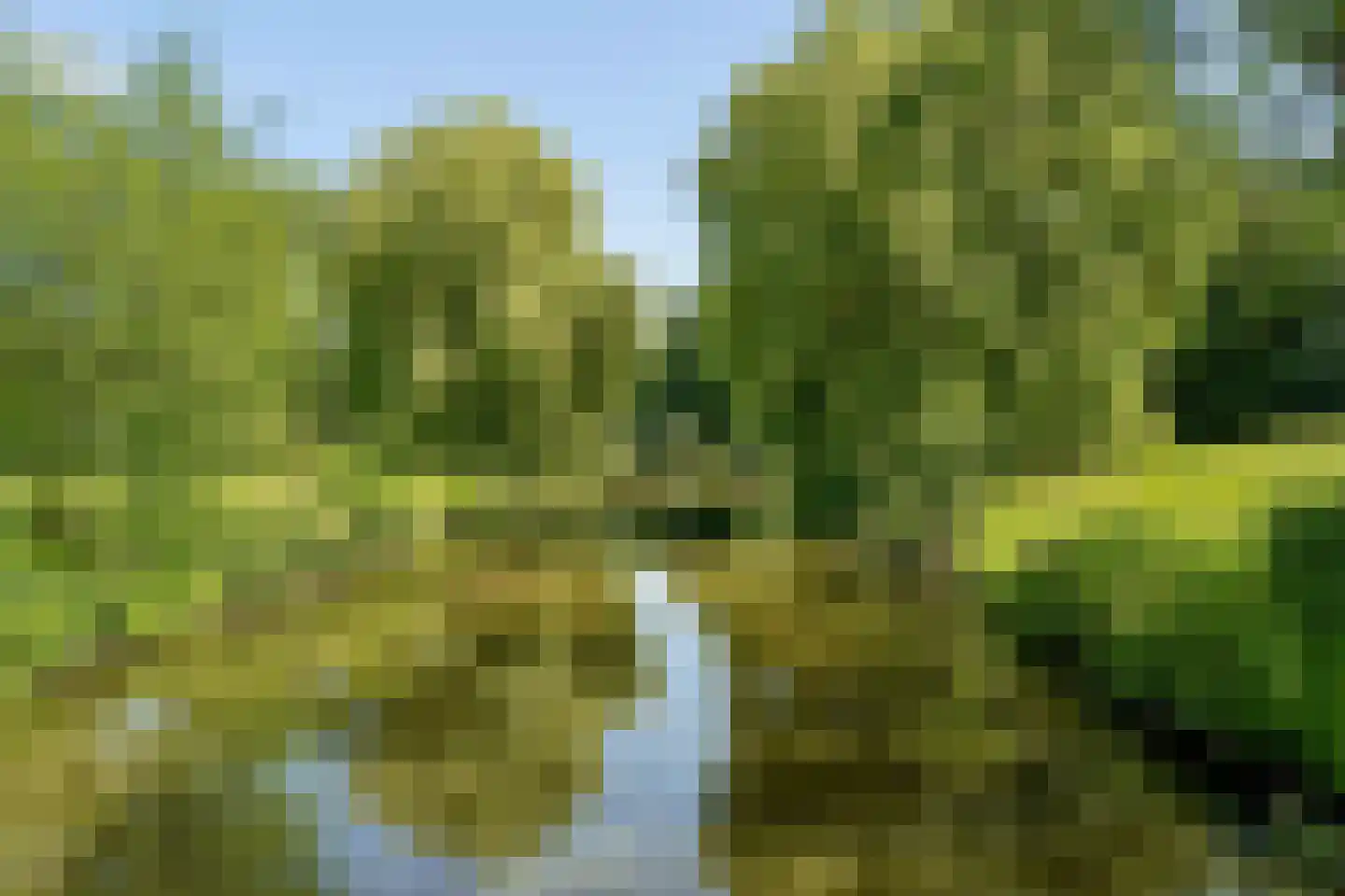 Prinses Irenelaan 130 Utrecht thumbnail 30