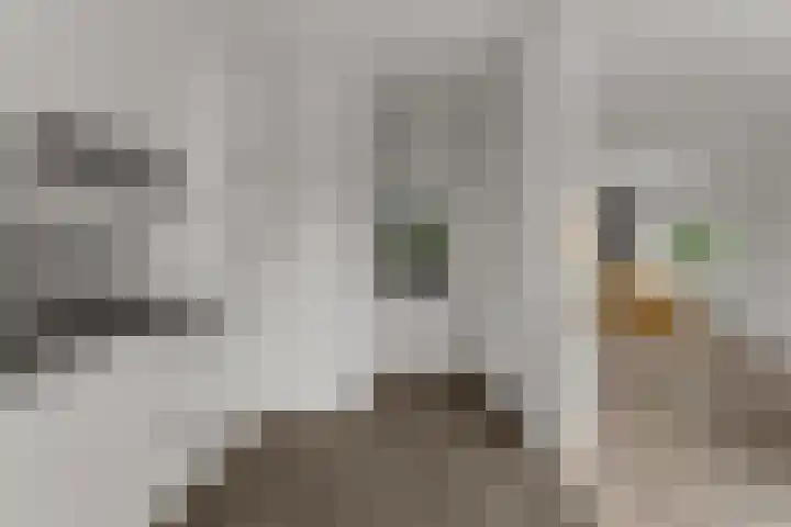 Prinses Irenelaan 15 Dieren thumbnail 13
