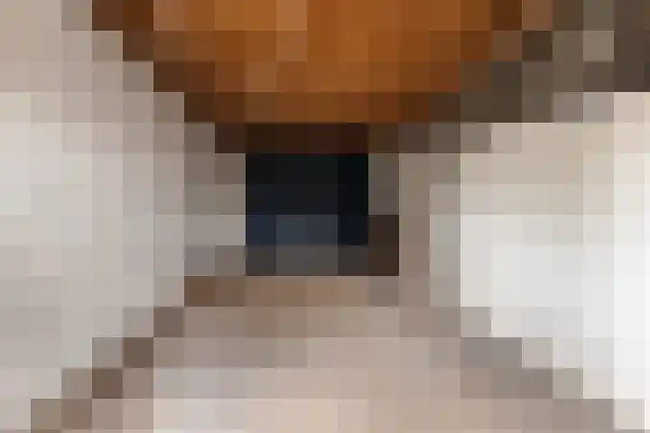 Prinses Irenelaan 15 Dieren thumbnail 35
