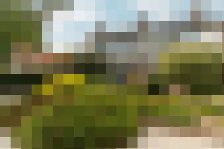 Prinses Irenelaan 15 Dieren thumbnail 39