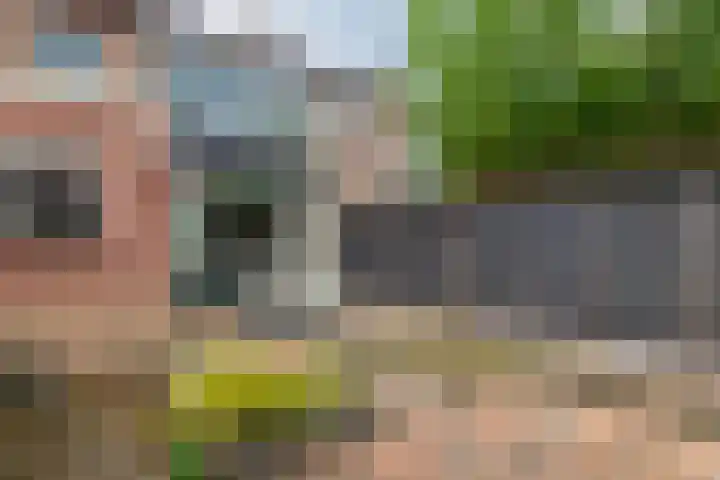 Prinses Irenelaan 15 Leerdam thumbnail 4