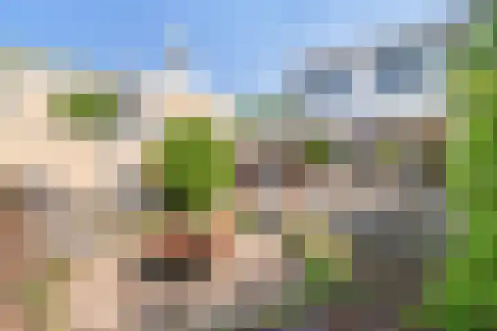 Prinses Irenelaan 15 Voorburg thumbnail 19