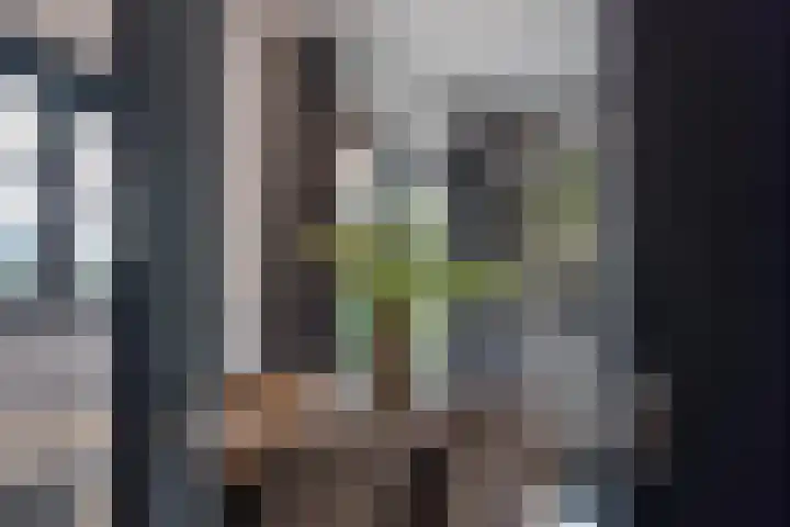 Prinses Irenelaan 16 Tiel thumbnail 13