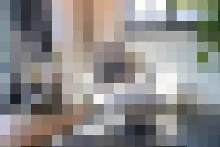 Prinses Irenelaan 16 Tiel thumbnail 19