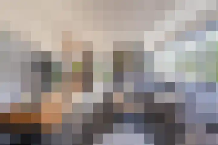 Prinses Irenelaan 16 Tiel thumbnail 20