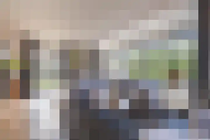 Prinses Irenelaan 16 Tiel thumbnail 21