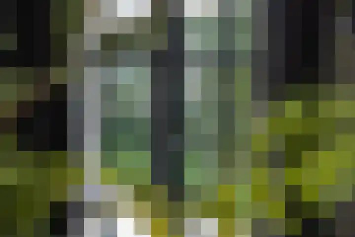 Prinses Irenelaan 16 Tiel thumbnail 24