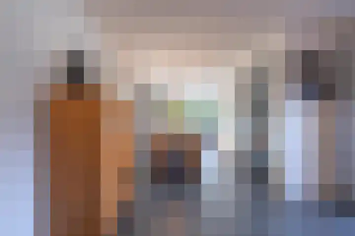 Prinses Irenelaan 16 Tiel thumbnail 28