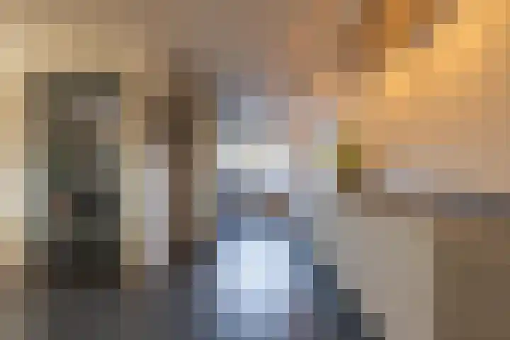 Prinses Irenelaan 16 Tiel thumbnail 29