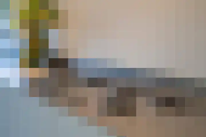 Prinses Irenelaan 16 Tiel thumbnail 30