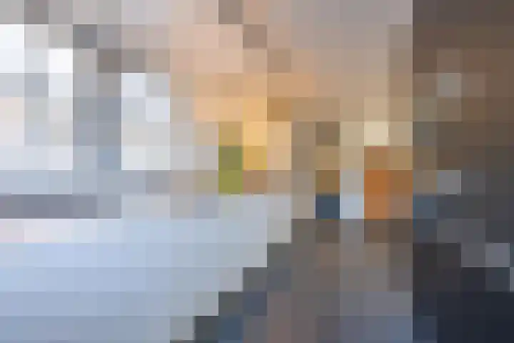 Prinses Irenelaan 16 Tiel thumbnail 33