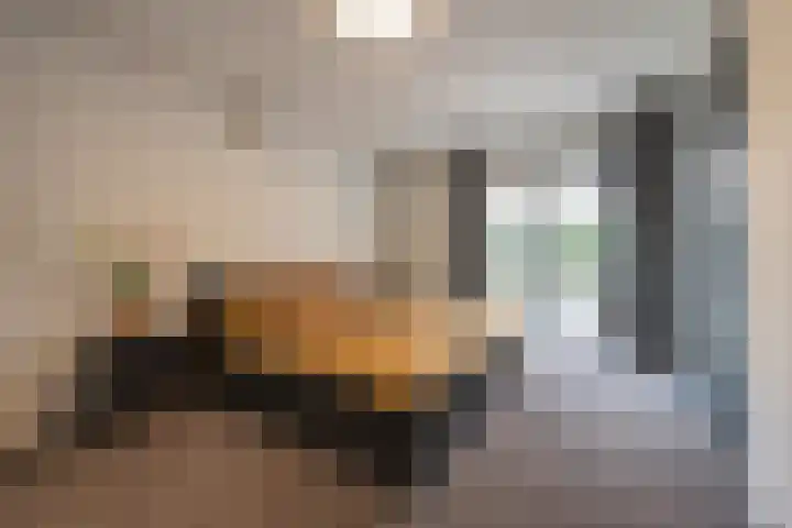 Prinses Irenelaan 16 Tiel thumbnail 39
