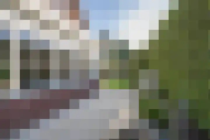 Prinses Irenelaan 16 Tiel thumbnail 54