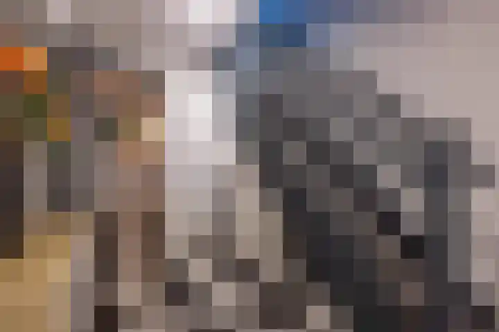 Prinses Irenelaan 16 Tiel thumbnail 68
