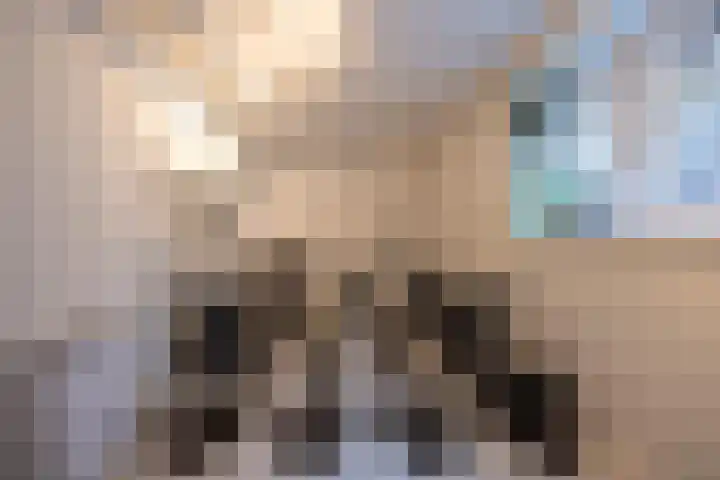Prinses Irenelaan 16 Tiel thumbnail 75