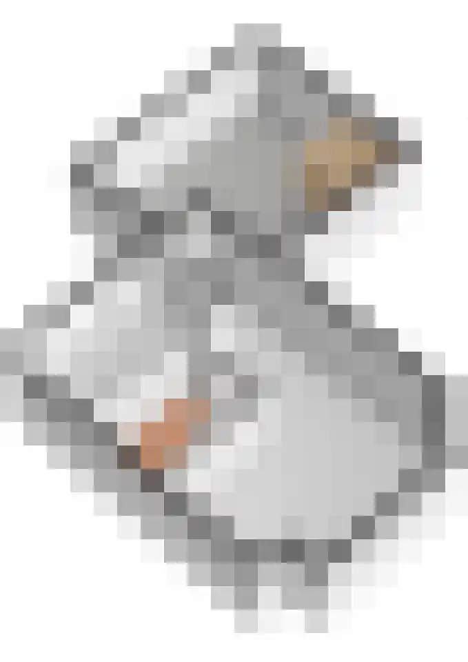 Prinses Irenelaan 16 Tiel thumbnail 83