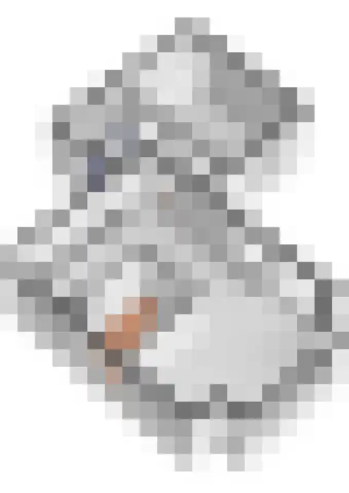 Prinses Irenelaan 16 Tiel thumbnail 85