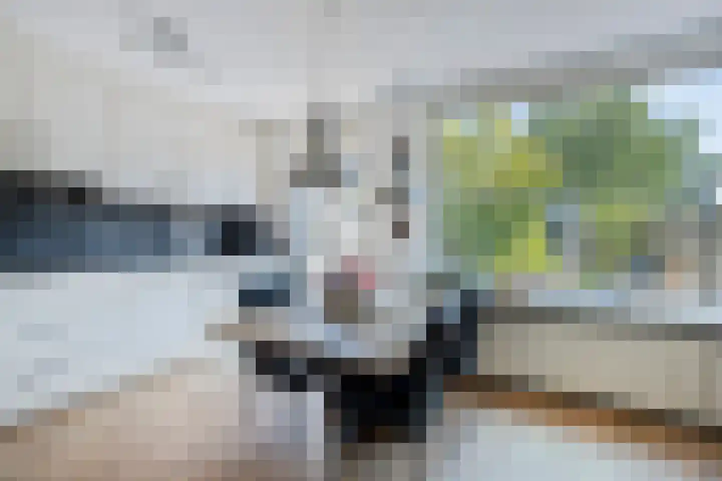 Prinses Irenelaan 22 Egmond aan den Hoef thumbnail 13