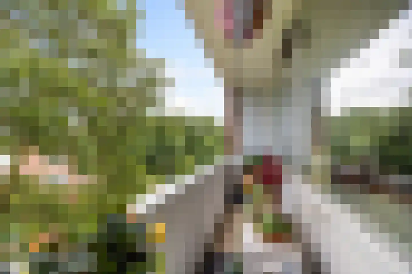 Prinses Irenelaan 222 Voorburg thumbnail 4